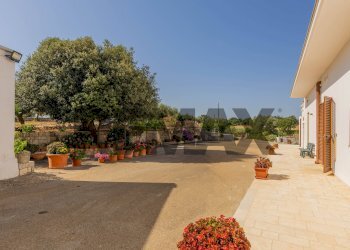 Terrazza - Villa Contrada Laire
 
2, Alberobello - foto 13