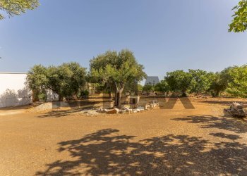 Giardino - Villa Contrada Laire
 
2, Alberobello - foto 14
