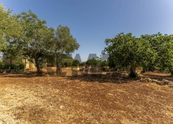 Giardino - Villa Contrada Laire
 
2, Alberobello - foto 15