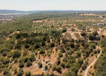 Vista delle montagne - Villa Contrada Laire
 
2, Alberobello - foto 64