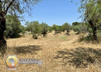 Foto 41 - Rustico Contrada Cava Secca
 
sn, Noto - foto 41