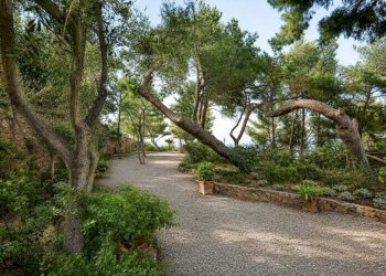 Giardino - Villa via delle Viste, Monte Argentario - foto 2