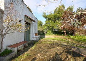 Giardino - Villa strada Comunale Antica d'Acquarica, Ruffano - foto 11