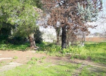 Terreno - Villa strada Comunale Antica d'Acquarica, Ruffano - foto 17
