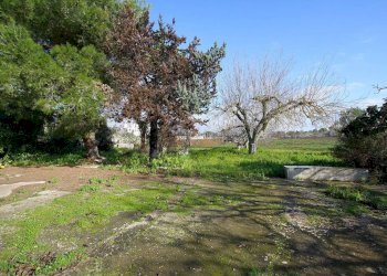 Terreno - Villa strada Comunale Antica d'Acquarica, Ruffano - foto 18