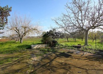 Terreno - Villa strada Comunale Antica d'Acquarica, Ruffano - foto 19