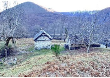 Terreno - Rustico SP75d, Valle Cannobina - foto 2
