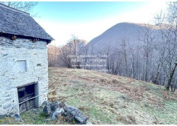 Terreno - Rustico SP75d, Valle Cannobina - foto 13
