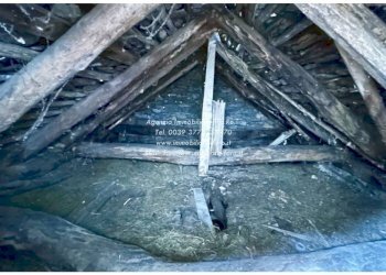 Altro - Rustico SP75d, Valle Cannobina - foto 17