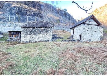 Terreno - Rustico SP75d, Valle Cannobina - foto 25