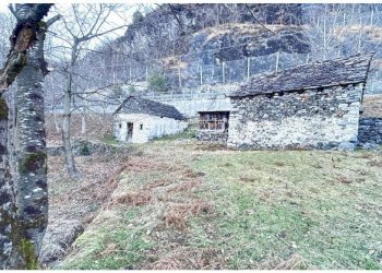 Terreno - Rustico SP75d, Valle Cannobina - foto 26