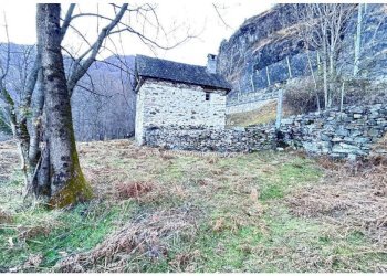 Terreno - Rustico SP75d, Valle Cannobina - foto 28