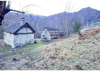 Terreno - Rustico SP75d, Valle Cannobina - foto 29