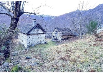 Terreno - Rustico SP75d, Valle Cannobina - foto 30