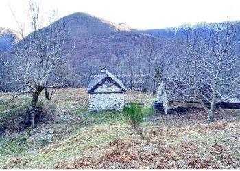 Terreno - Rustico SP75d, Valle Cannobina - foto 31