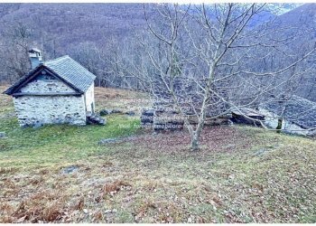 Terreno - Rustico SP75d, Valle Cannobina - foto 32