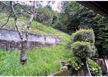 Giardino - Villa via Martiri, Valle Cannobina - foto 28