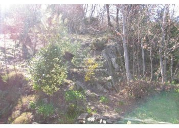 Terreno - Villa Cannobio - foto 19