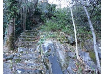 Terreno - Villa Cannobio - foto 25