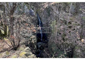 Terreno - Villa Cannobio - foto 39