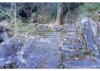 Terreno - Villa Cannobio - foto 40