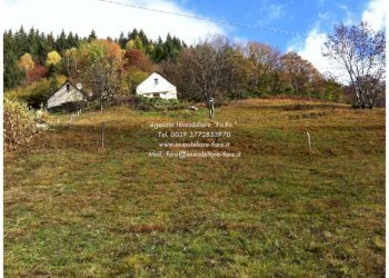 Terreno - Rustico via Colonnello Garbagni, 79, Craveggia - foto 8