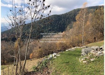 Terreno - Rustico via Colonnello Garbagni, 79, Craveggia - foto 13
