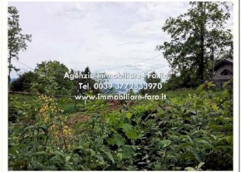 Terreno - Villa Miazzina - foto 16