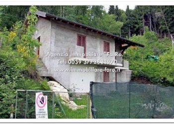 Terreno - Villa Miazzina - foto 18