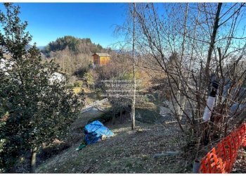 Terreno - Villa Miazzina - foto 24
