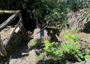 Terreno - Casa indipendente via Brandibella, 2, Valle Cannobina - foto 9