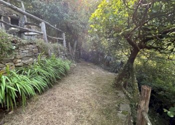 Terreno - Casa indipendente via Brandibella, 2, Valle Cannobina - foto 10