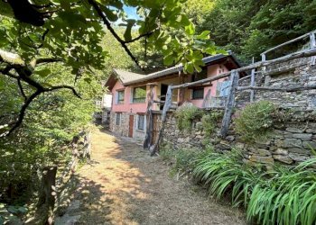 Giardino - Casa indipendente via Brandibella, 2, Valle Cannobina - foto 15
