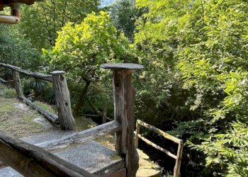 Giardino - Casa indipendente via Brandibella, 2, Valle Cannobina - foto 28
