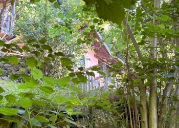 Terreno - Casa indipendente via Brandibella, 2, Valle Cannobina - foto 33