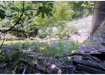Terreno - Rustico strada Provinciale della Valle Cannobina, Cannobio - foto 20
