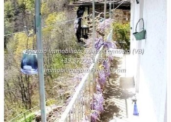 Terreno - Rustico Località Camberto, 6, Valle Cannobina - foto 15
