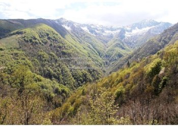 Vista - Rustico Località Camberto, 6, Valle Cannobina - foto 18