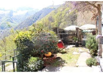 Giardino - Rustico Località Camberto, 6, Valle Cannobina - foto 21