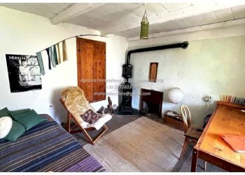 Cantina - Rustico Località Camberto, 6, Valle Cannobina - foto 33