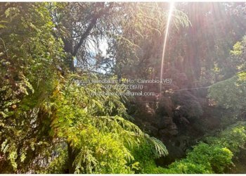 Terreno - Villa strada Antonio Manzi, Oggebbio - photo 4