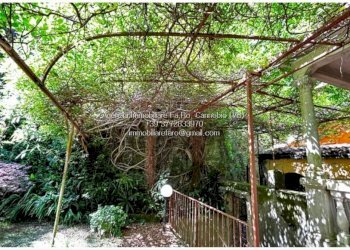 Giardino - Villa strada Antonio Manzi, Oggebbio - photo 35