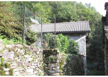 Terreno - Rustico Località Motta, Valle Cannobina - foto 11