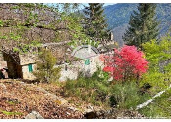 Terreno - Casa indipendente via Spoccia, Valle Cannobina - foto 1