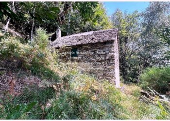 Terreno - Casa indipendente via Spoccia, Valle Cannobina - foto 46
