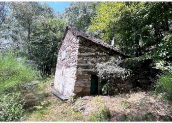 Terreno - Casa indipendente via Spoccia, Valle Cannobina - foto 48