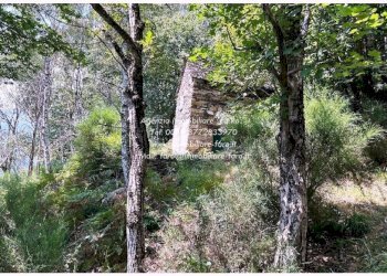 Terreno - Casa indipendente via Spoccia, Valle Cannobina - foto 49