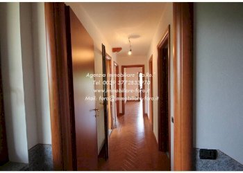 Corridoio - Villa Località Alpe Segletta, Aurano - foto 7