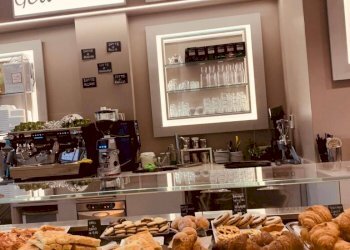 Interno non residenziale - Cafeteria - Cold Bar Savona (neighborhood Legino) - photo 1