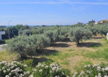 Terreno - Bilocale contrada Favaco, Stignano - foto 16